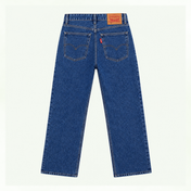 Levis High Quality Semy Baggy Pant - Blue Color
